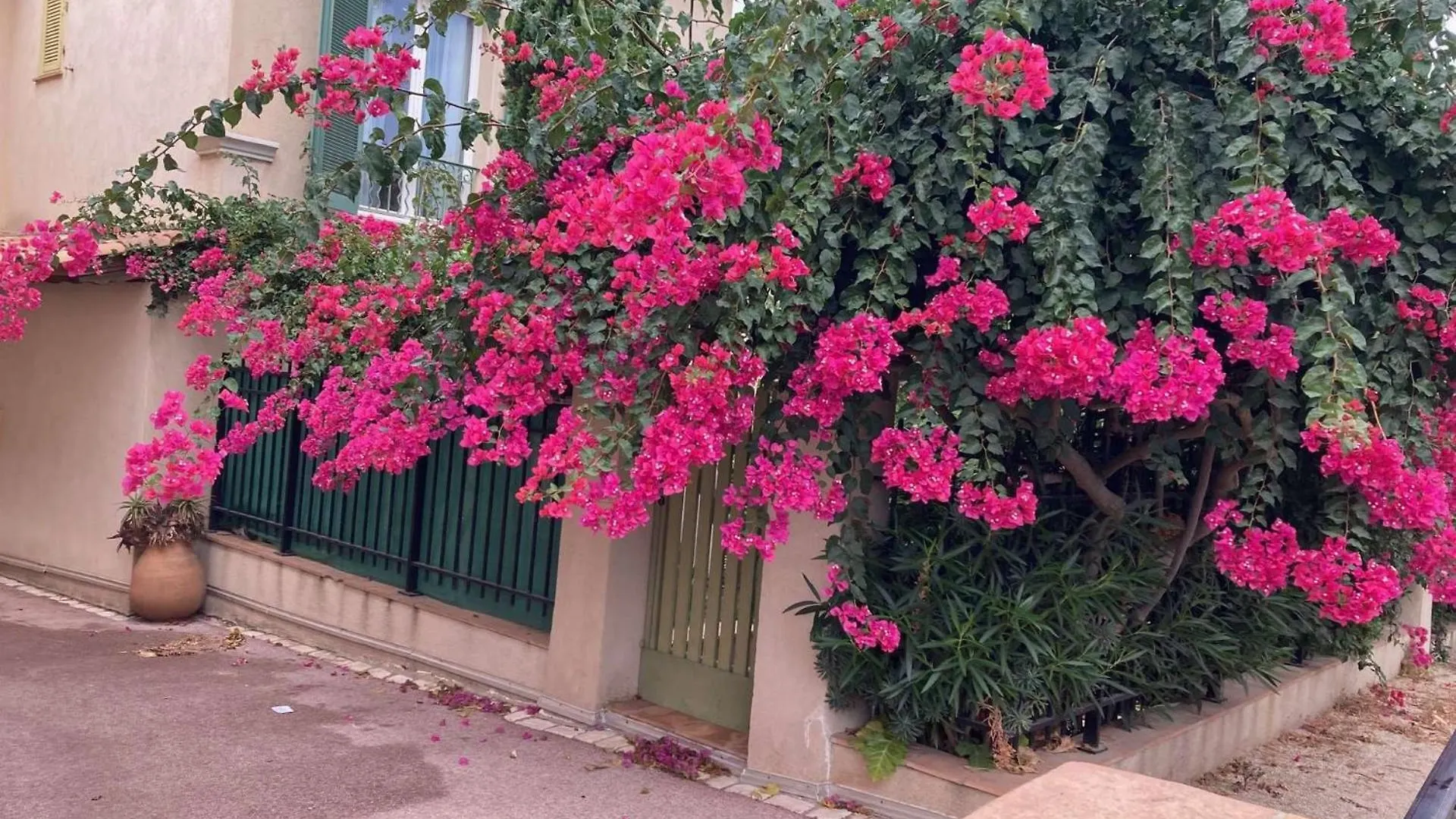 Villa De Charme A Porquerolles - Confort Serenite A 100M Du Village 0*,